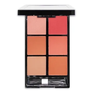 پالت رژ گونه رمانتیک برد مدل 6B V-Face Beauty Looks کد B
