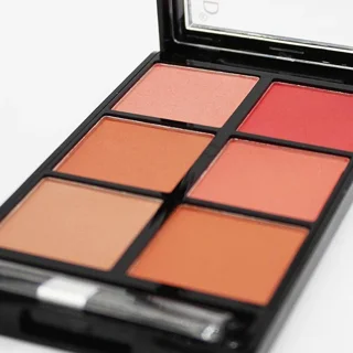 پالت رژ گونه رمانتیک برد مدل 6B V-Face Beauty Looks کد B