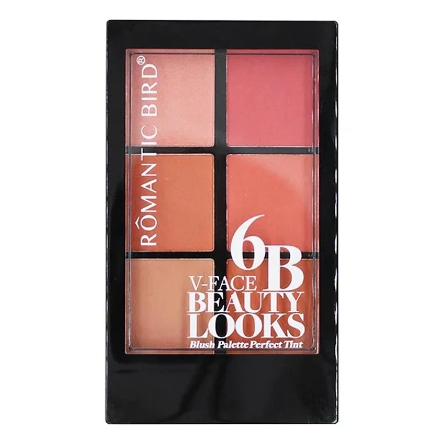 پالت رژ گونه رمانتیک برد مدل 6B V-Face Beauty Looks کد B
