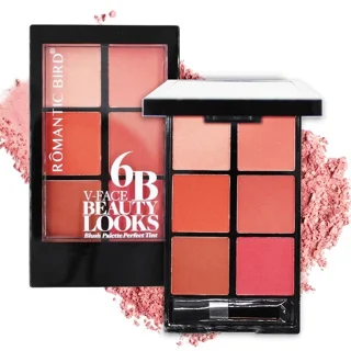 پالت رژ گونه رمانتیک برد مدل 6B V-Face Beauty Looks کد C